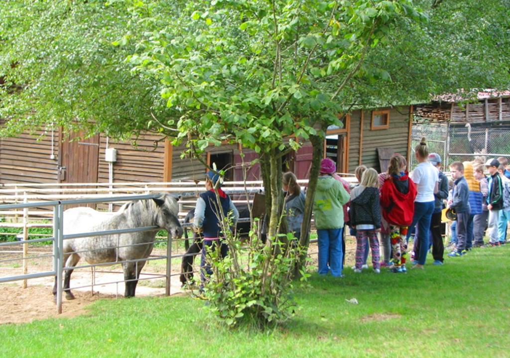 Ziolowa Dolina 3* Olsztyn (Warmian-Masurian)