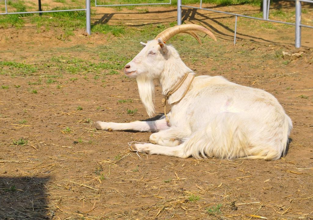 Ziolowa Dolina 3*